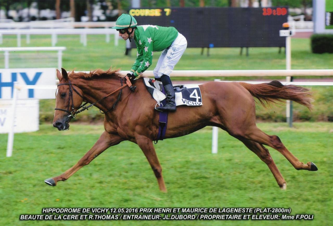 Haras De La Cere Et Ses Chevaux Holiday home