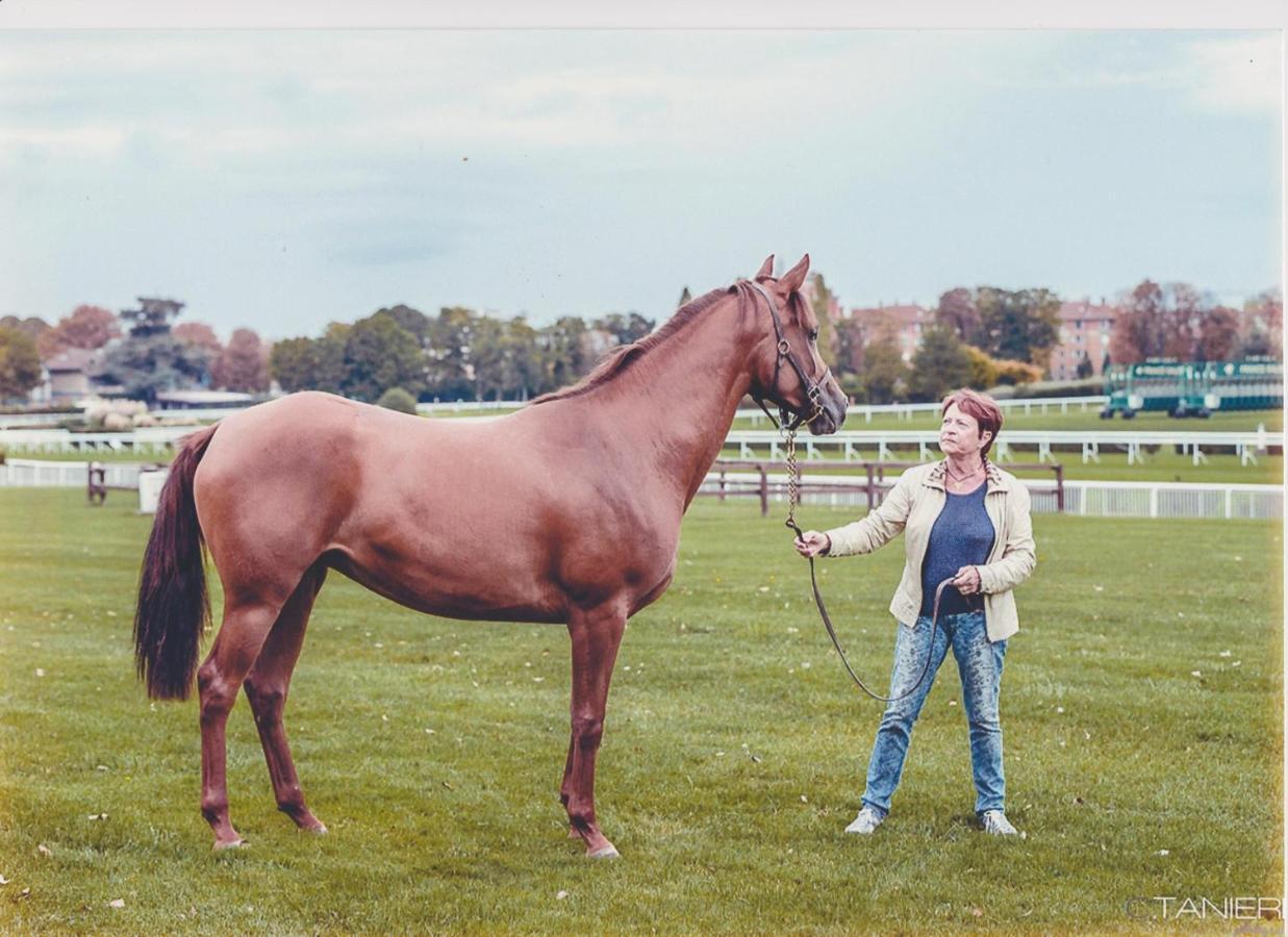 Haras De La Cère Polminhac