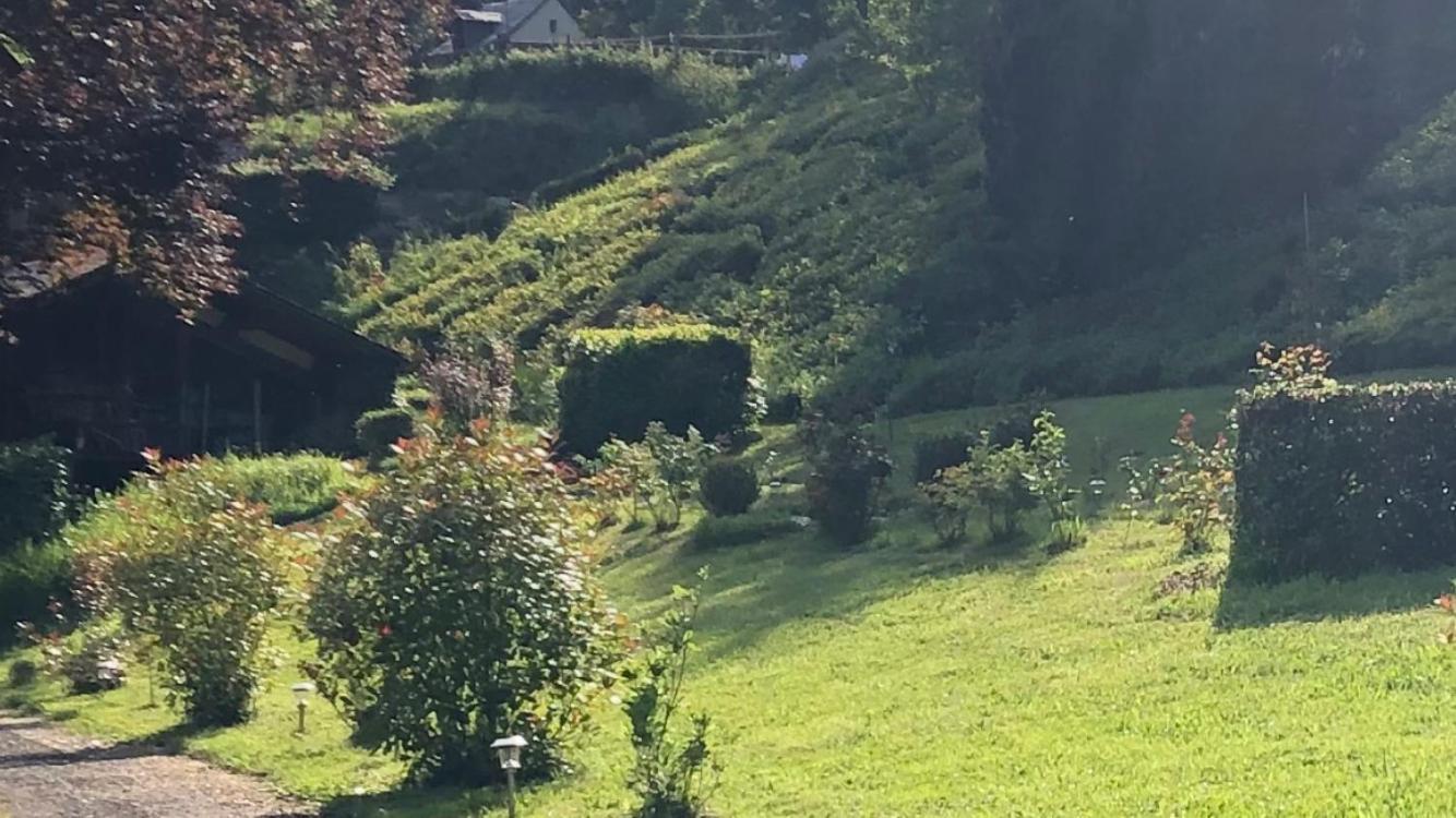 Haras De La Cere Et Ses Chevaux Holiday home Polminhac